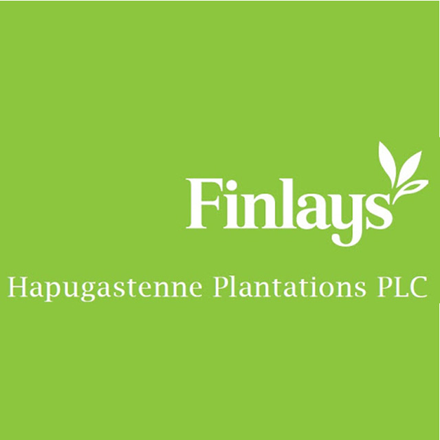 Hapugastenne Plantations PLC / Udapussellwa Plantations PLC - Finlays Tea Estates Sr Lanka